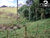 Sítio - Foto 9
