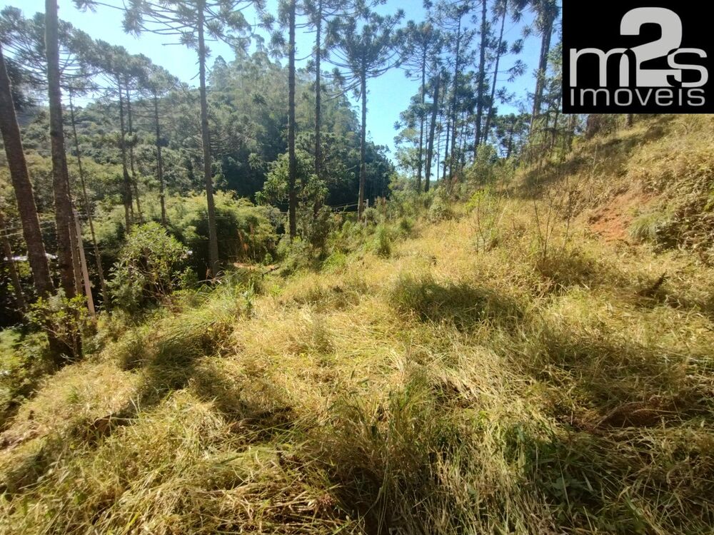 Terreno à venda - Foto 6