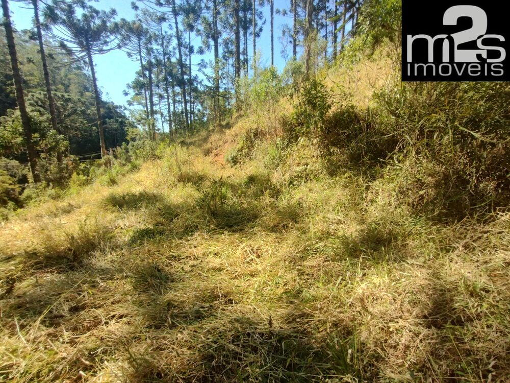 Terreno à venda - Foto 5