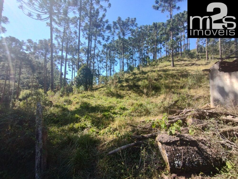 Terreno à venda - Foto 1