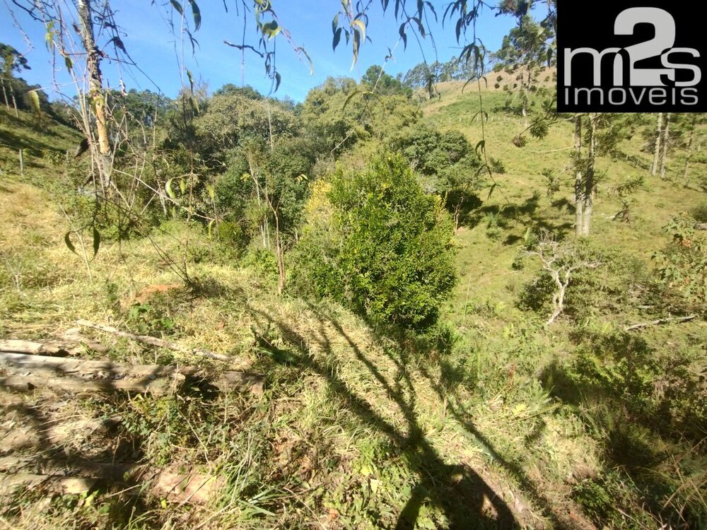 Terreno à venda - Foto 7