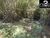 Terreno - Foto 10