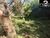 Terreno - Foto 4