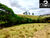 Chácara, 2 hectares - Foto 1
