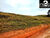 Chácara, 2 hectares - Foto 6