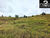 Chácara, 2 hectares - Foto 13