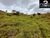 Chácara, 2 hectares - Foto 15