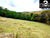 Chácara, 2 hectares - Foto 10