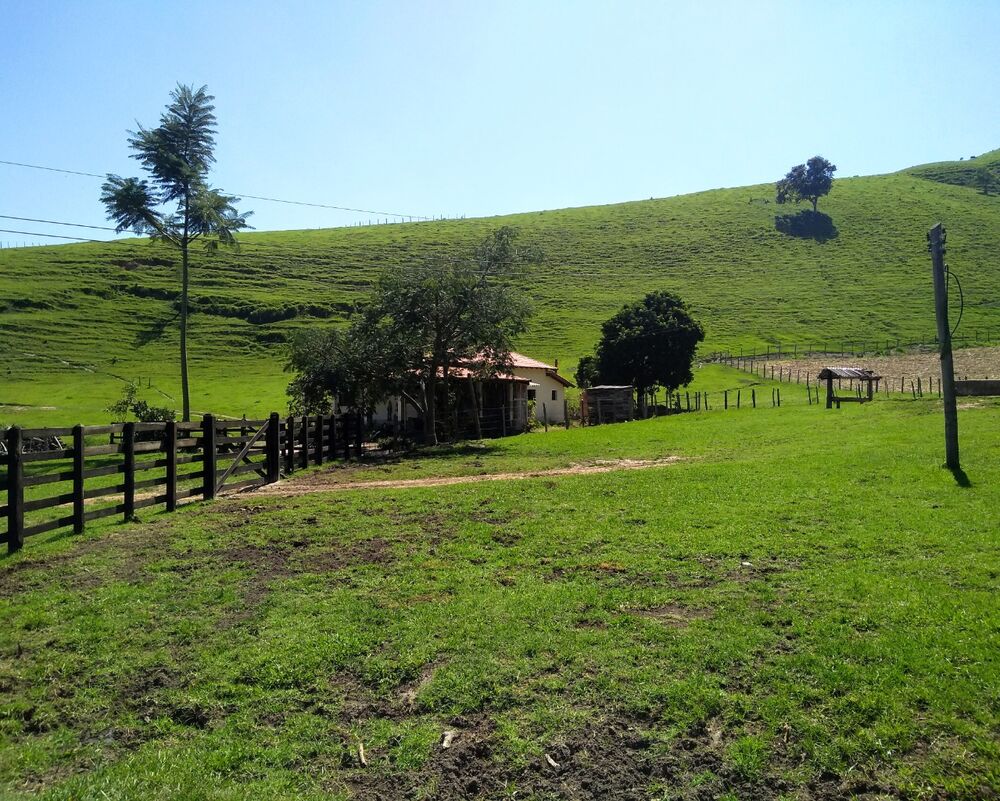Fazenda à venda com 4 quartos - Foto 3