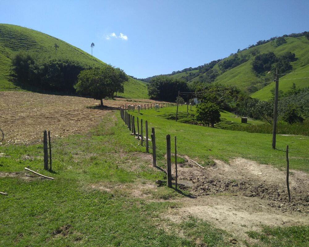 Fazenda à venda com 4 quartos - Foto 5