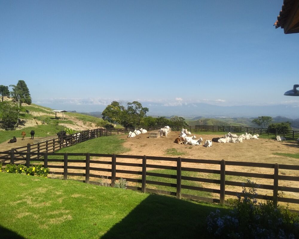 Fazenda à venda com 4 quartos - Foto 23