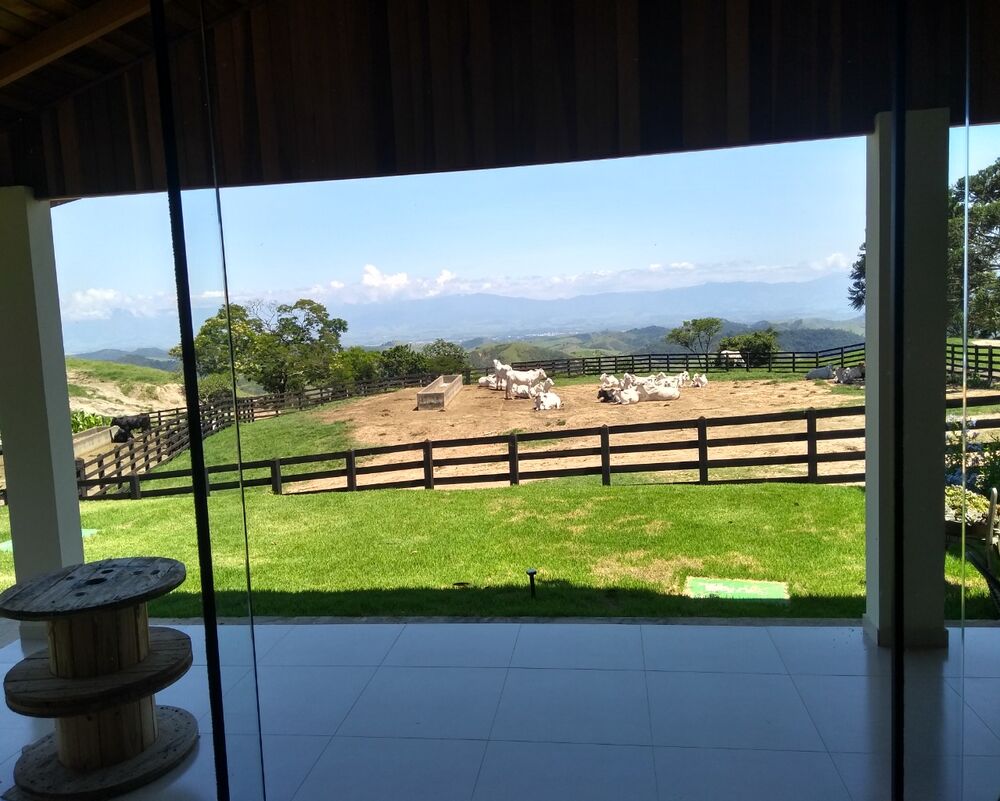 Fazenda à venda com 4 quartos - Foto 22