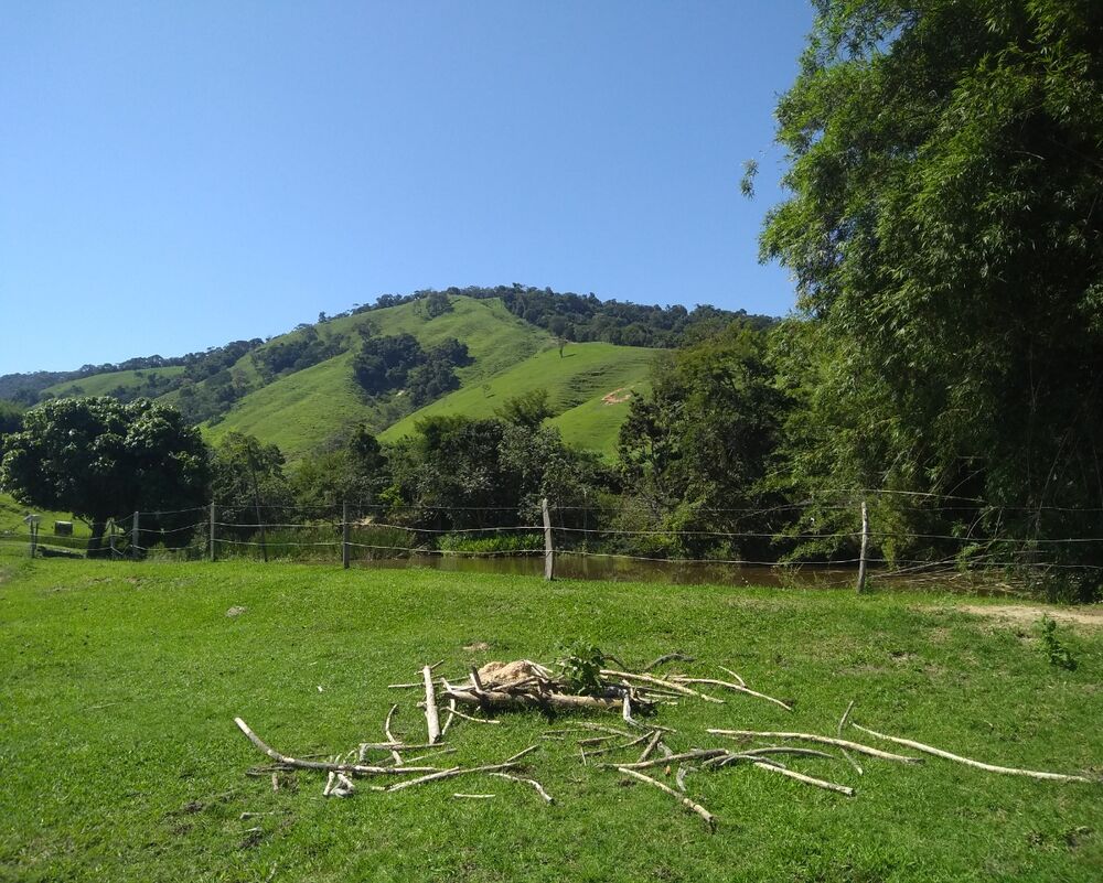 Fazenda à venda com 4 quartos - Foto 7
