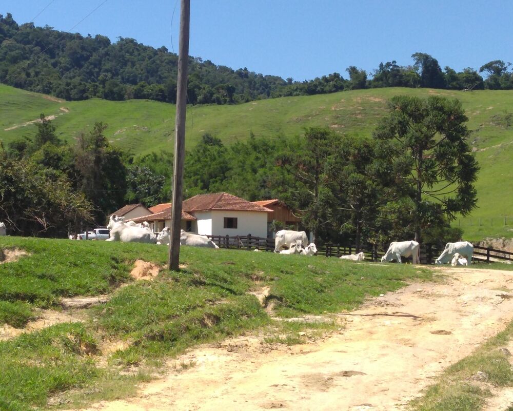 Fazenda à venda com 4 quartos - Foto 11