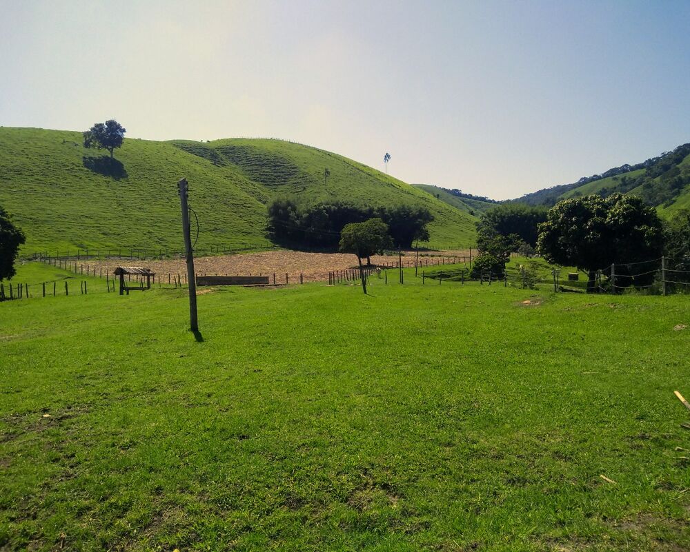 Fazenda à venda com 4 quartos - Foto 6