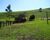 Fazenda-Sítio-Chácara, 4 quartos - Foto 3
