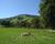 Fazenda-Sítio-Chácara, 4 quartos - Foto 7