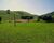 Fazenda-Sítio-Chácara, 4 quartos - Foto 6