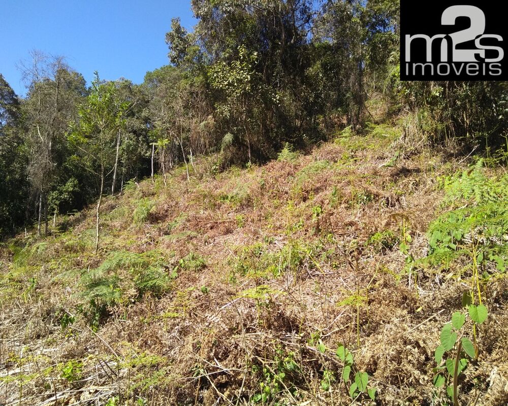 Terreno à venda - Foto 6