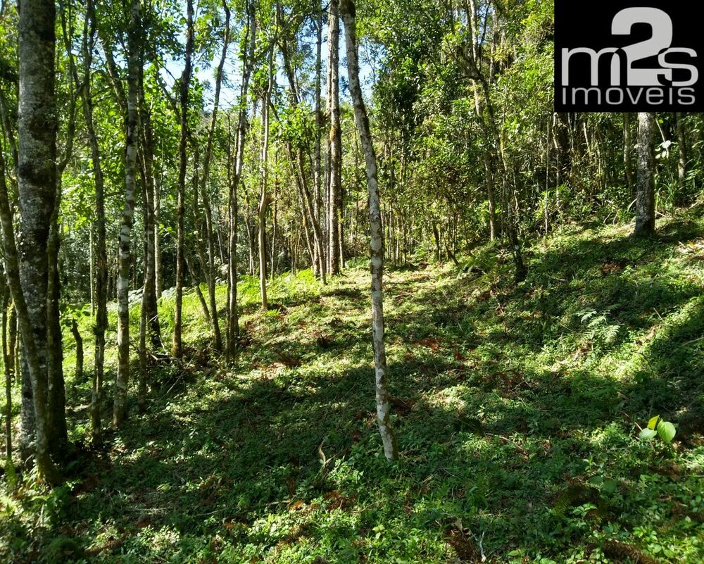 Terreno à venda - Foto 11