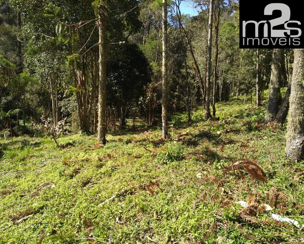 Terreno à venda - Foto 5