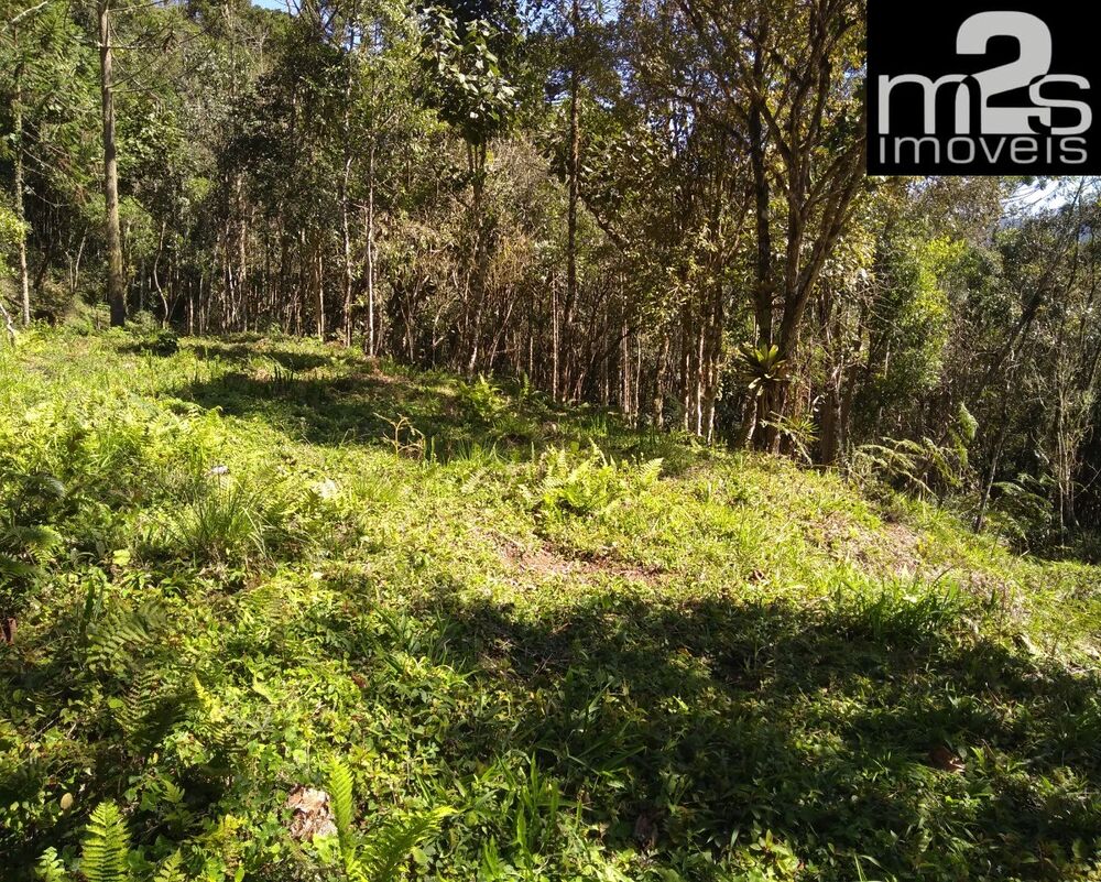 Terreno à venda - Foto 3