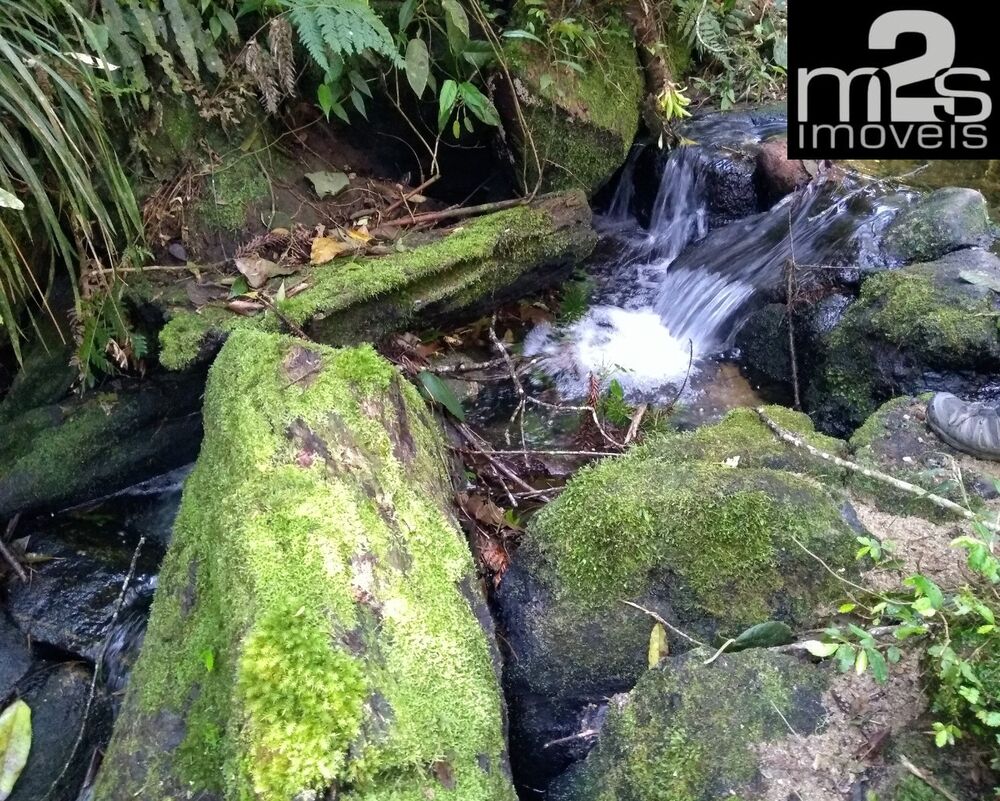 Terreno à venda - Foto 1