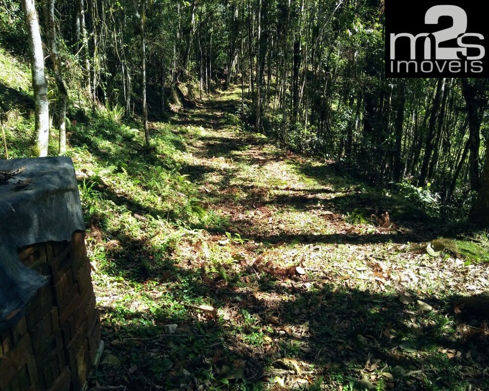 Terreno à venda - Foto 9