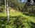 Terreno - Foto 4