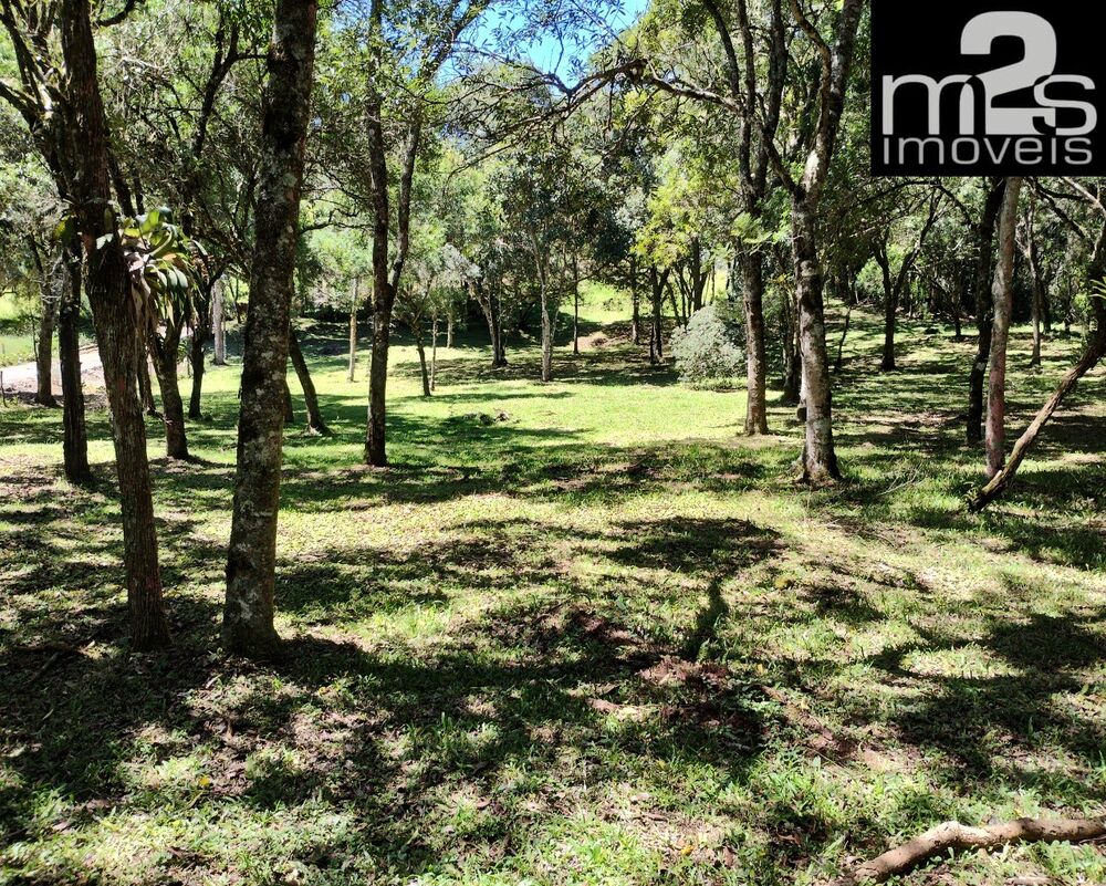 Sítio, 4 quartos - Foto 1