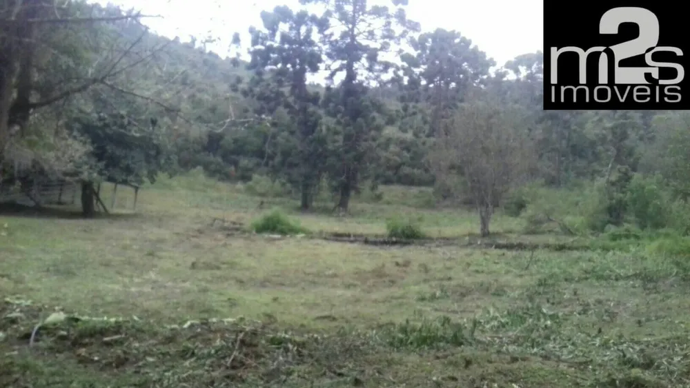 Sítio - Foto 11