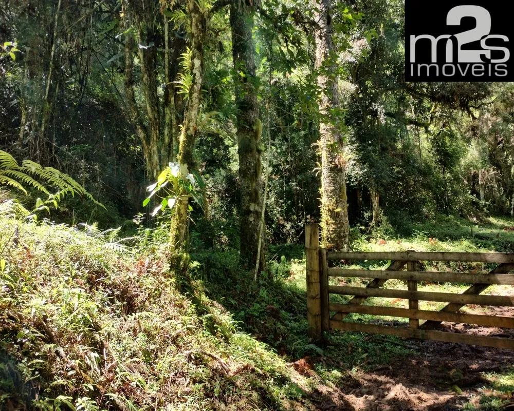 Sítio - Foto 6