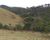 Chácara, 2 hectares - Foto 8