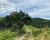 Chácara, 2 hectares - Foto 4