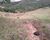 Chácara, 2 hectares - Foto 6