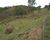 Chácara, 2 hectares - Foto 13
