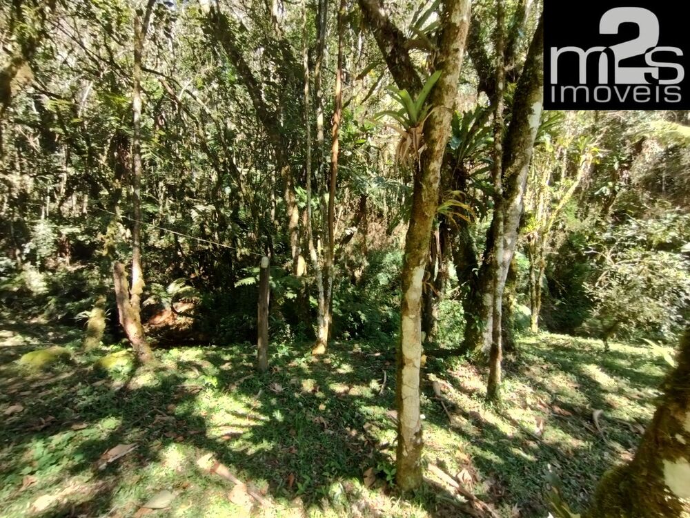 Sítio, 4 quartos - Foto 3