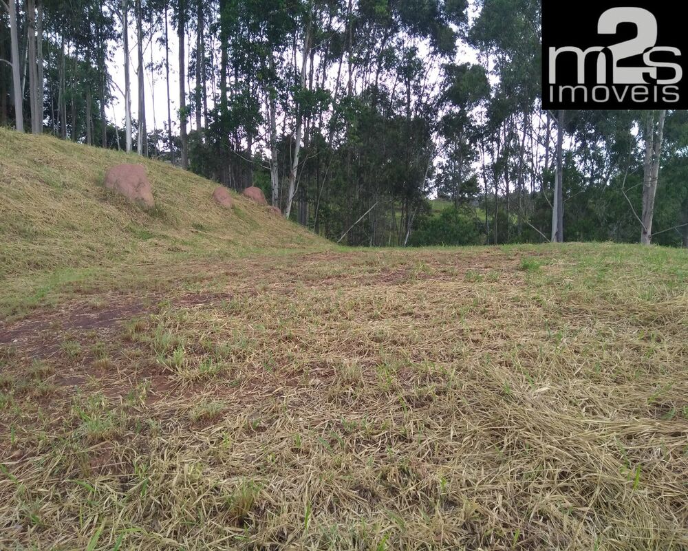 Loteamento e Condomínio à venda, 2517m² - Foto 6