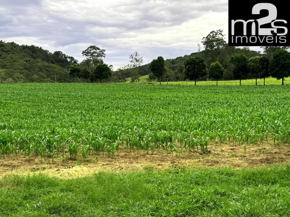 Fazenda, 4 quartos - Foto 1