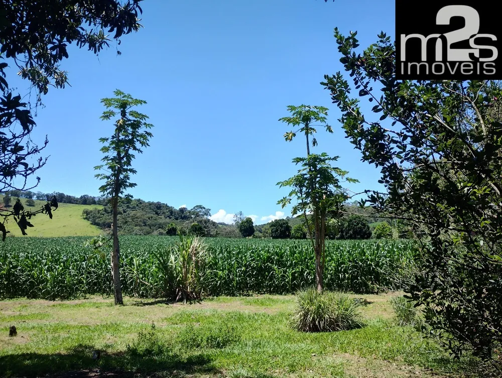Fazenda, 4 quartos - Foto 4