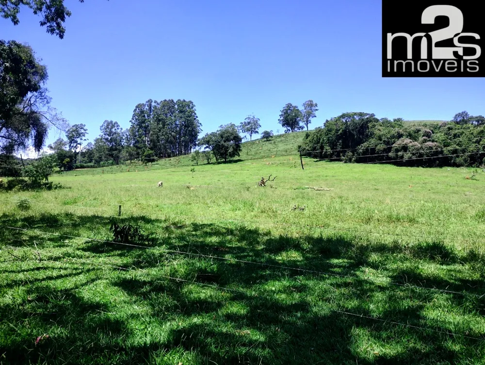 Fazenda, 4 quartos - Foto 6