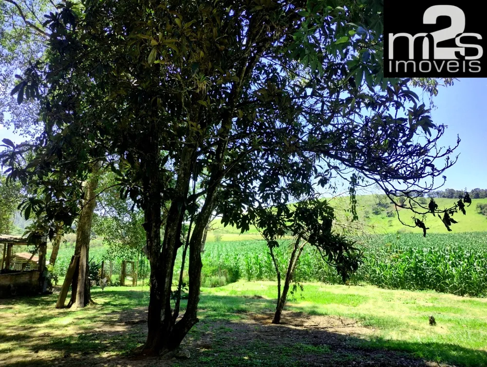 Fazenda, 4 quartos - Foto 7