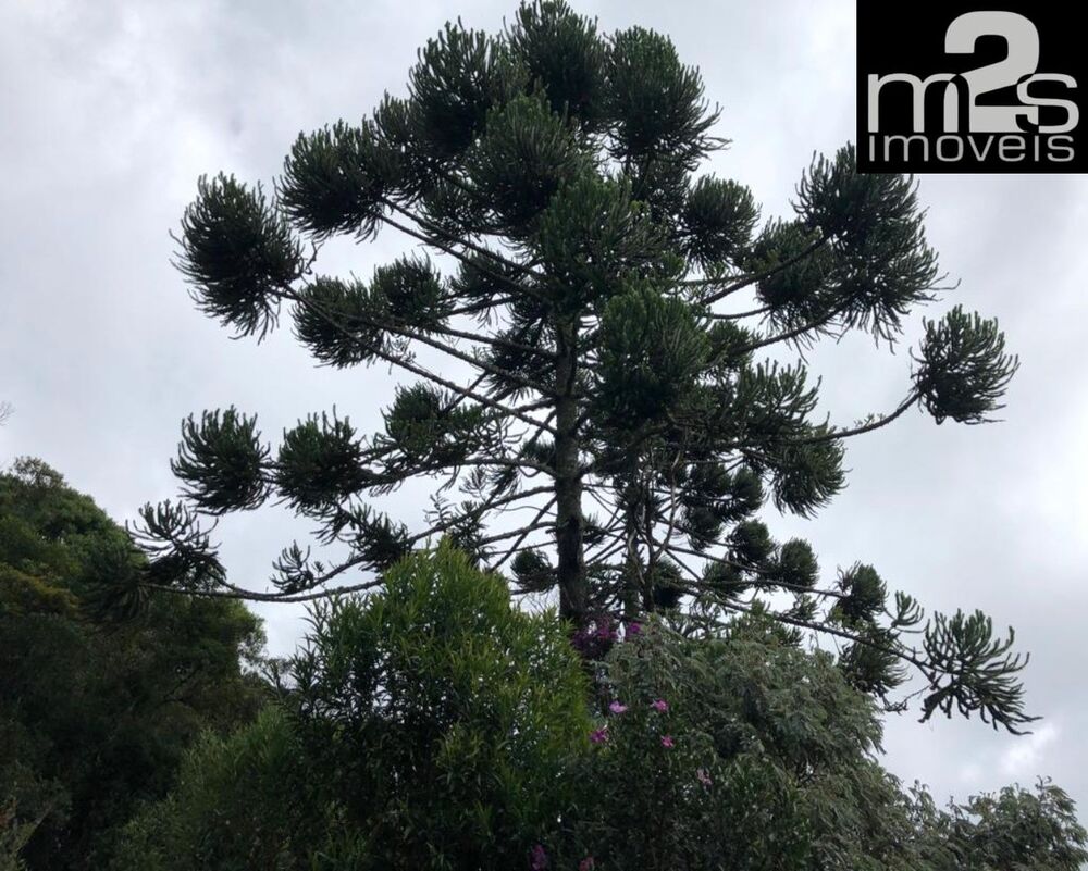 Fazenda, 2 quartos - Foto 3