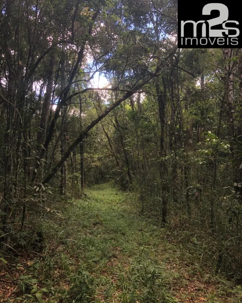Fazenda, 2 quartos - Foto 8