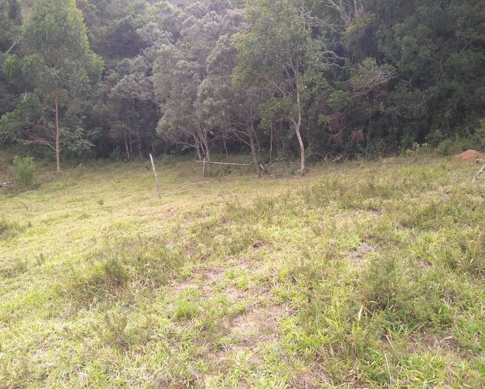 Chácara, 3 hectares - Foto 9