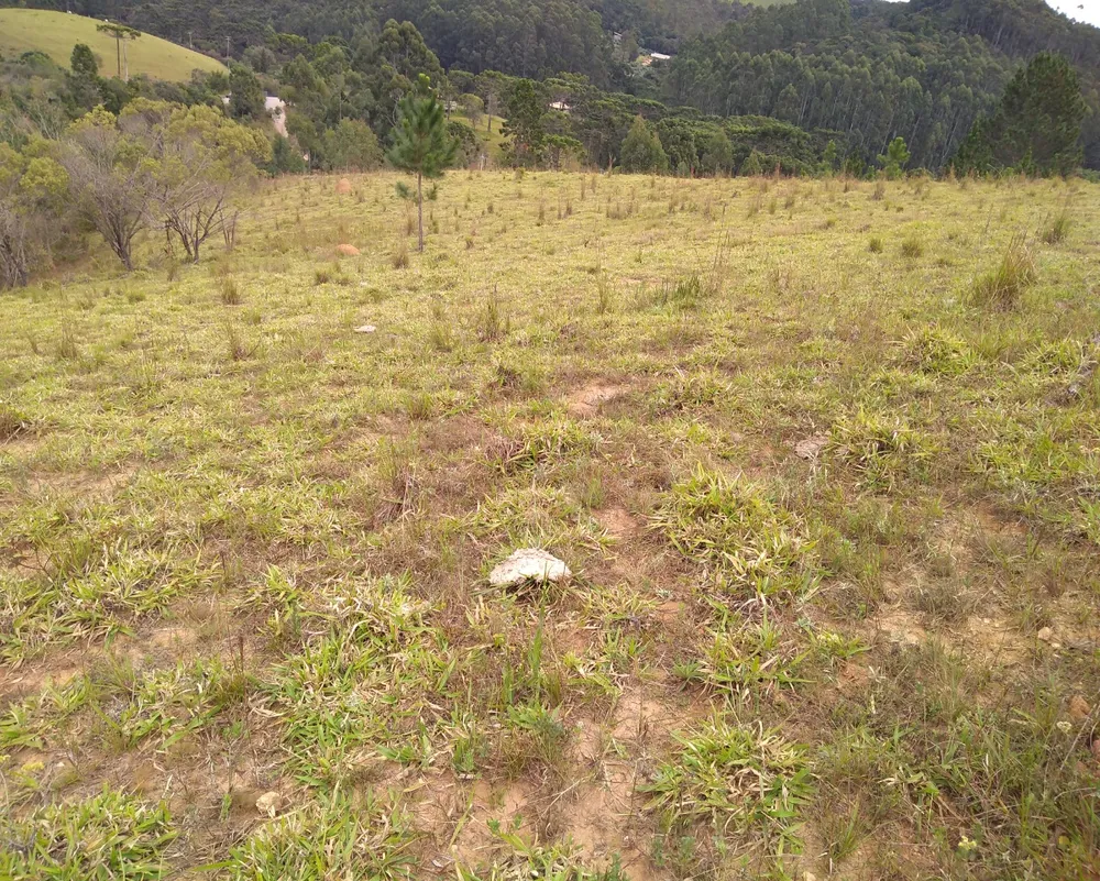 Chácara, 3 hectares - Foto 8