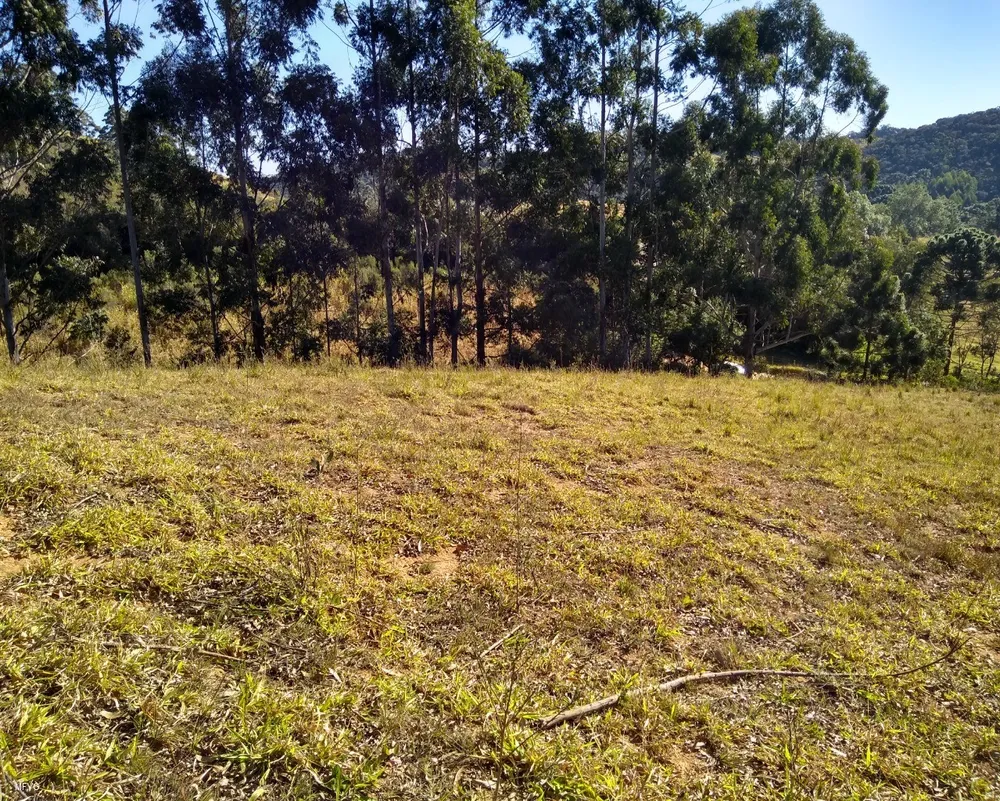Chácara, 3 hectares - Foto 7
