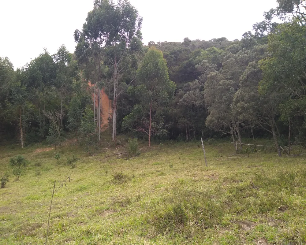 Chácara, 3 hectares - Foto 10