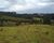 Chácara, 3 hectares - Foto 2