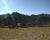 Chácara, 3 hectares - Foto 1